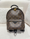 LOUIS VUITTON PALM SPRING SMALL BACKPACK MONOGRAM CANVAS GHW