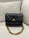 Chanel Season 22A Flap Bag with coin details