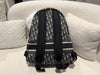Dior Travel Backpack Blue Dior Oblique Jacquard