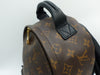 LOUIS VUITTON PALM SPRING SMALL BACKPACK MONOGRAM CANVAS GHW