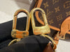 Louis Vuitton Diane Bag Monogram Canvas M45985