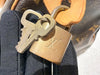 Louis Vuitton Speedy 30 Monogram Canvas/Leather