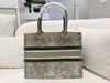 Dior Medium book tote limited canvas multicolour